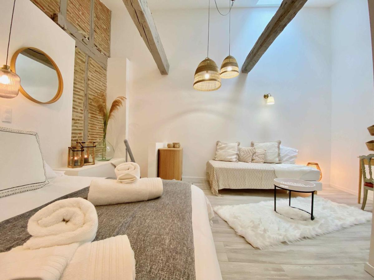 La Parenthese Occitane Apartment Castres  Bagian luar foto