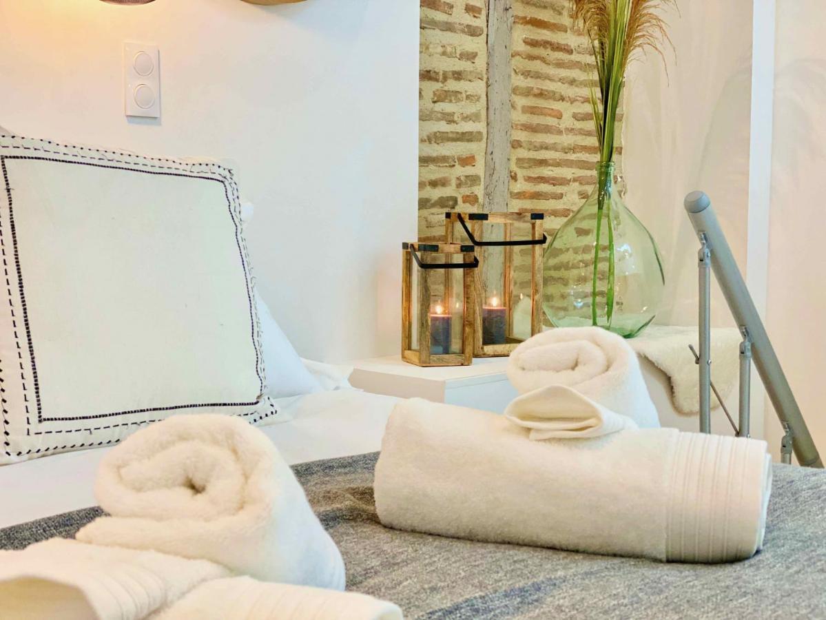 La Parenthese Occitane Apartment Castres  Bagian luar foto